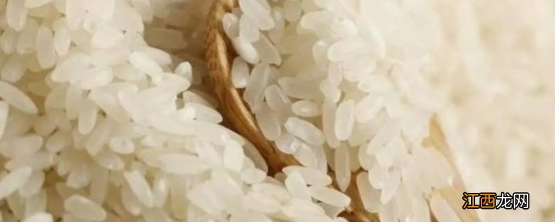 大米怎么存放才能不生虫子