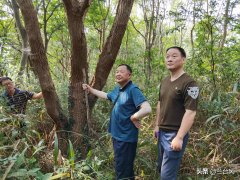 苏东坡格言40条：腹有诗书气自华，读书万卷始通神