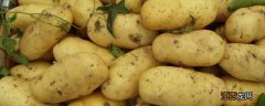 夏天的土豆怎么储存