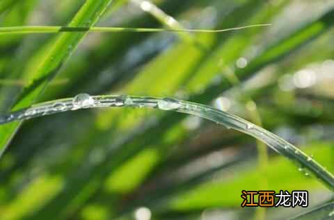 白露至,凉意浓,这份养生攻略请查收→