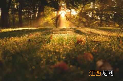 白露至,凉意浓,这份养生攻略请查收→