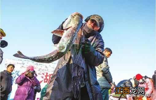 “拥抱”旅发 畅玩冰雪 燃情大庆冰雪旅游季火热开启