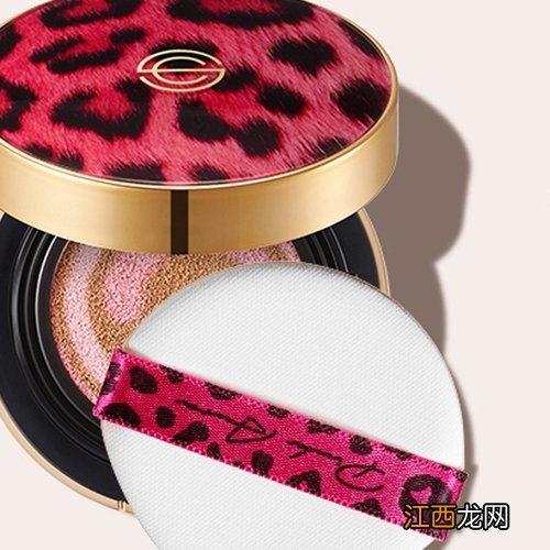 韩国dpc豹纹气垫保湿cc bb霜粉底液