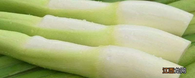 茭白变紫色可以吃吗