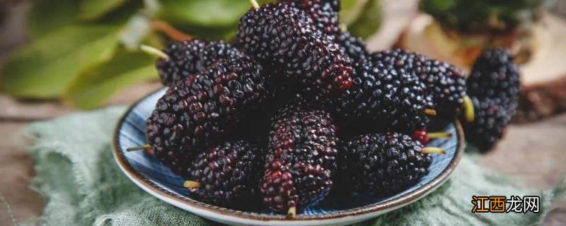 态子葚功效与作用