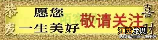 一位老中医遗留下的健康养生口诀，朗朗上口，一下子就传火了