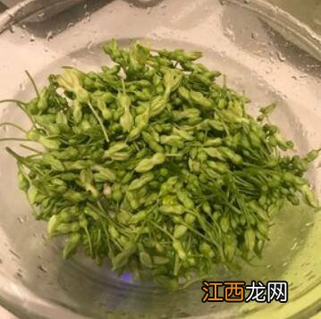 夜香花怎么做才好吃