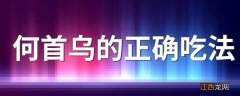 何首乌的正确吃法 最佳吃法