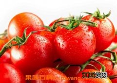 吃西红柿的好处与功效作用