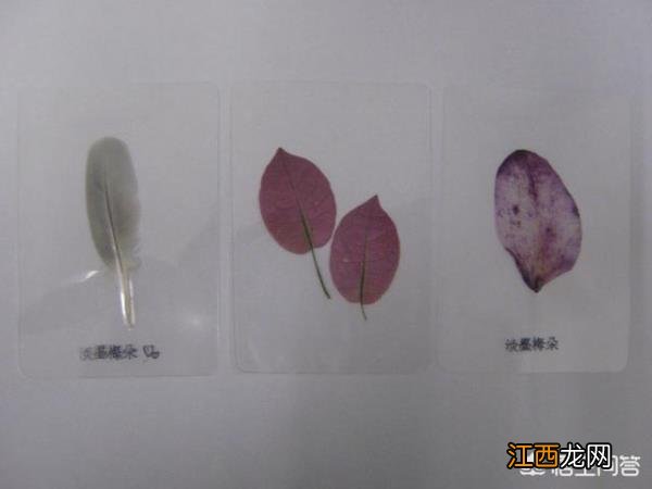 景区门口摆摊卖什么好? 景区门口摆摊卖什么最挣钱