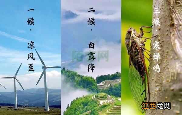 立秋未满秋,三大养生原则,助你和孩子健康度秋