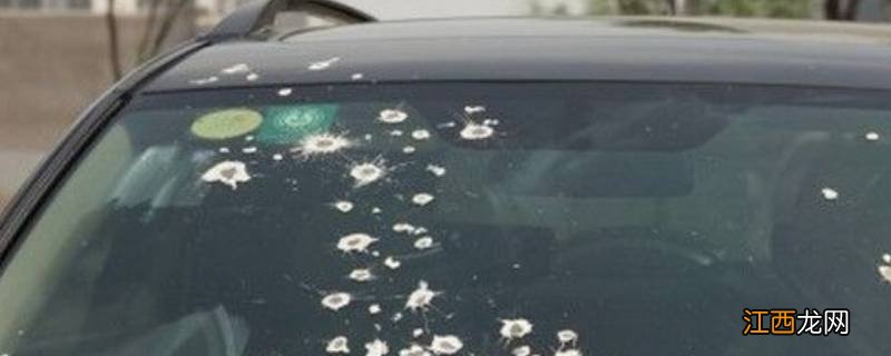 汽车虫胶去除小窍门