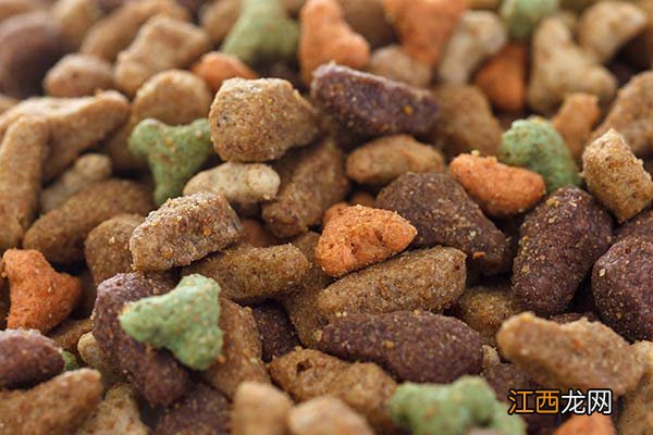 不同年龄小猫吃什么 小猫食物挑选与营养均衡