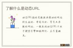 了解什么是动态URL