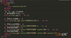 图片alt标签与title标签的区别是什么