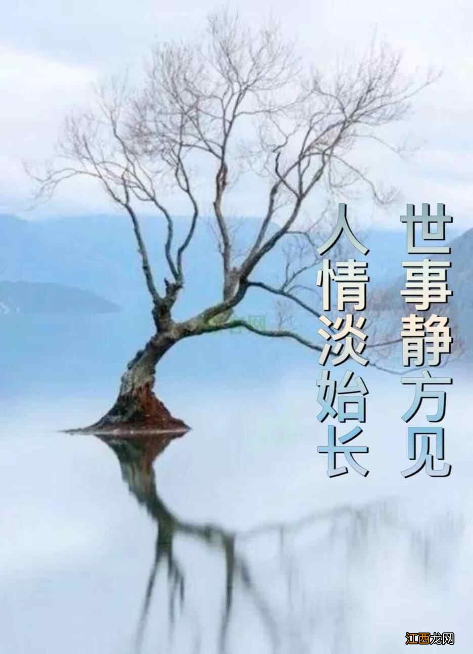 健康养生：终是助人为乐好 世情看淡即天书