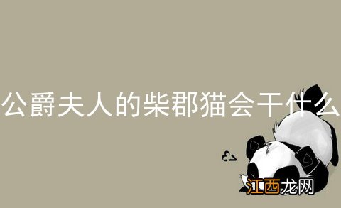 公爵夫人的柴郡猫会干什么