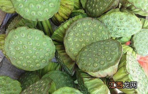 莲蓬怎么做成干花