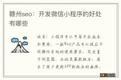 赣州seo：开发微信小程序的好处有哪些