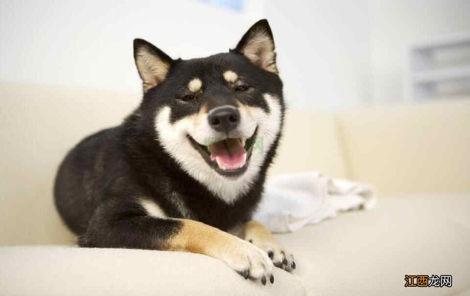 春季要养生,这8个春季养生技巧,送你一年健康,请收好!