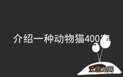 介绍一种动物猫400字