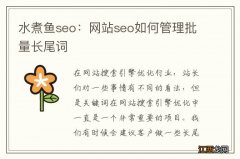 水煮鱼seo：网站seo如何管理批量长尾词