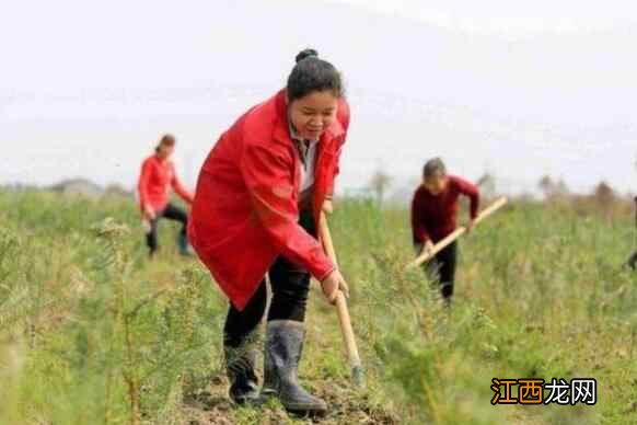 108岁女作家罗洪养生秘诀：3样好，人不老！