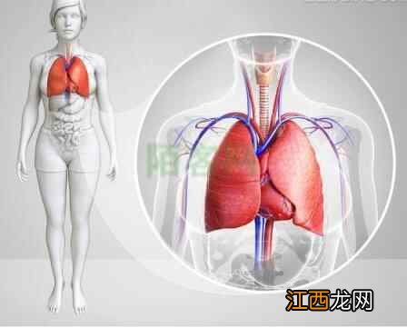 每天花5分钟，做“开心开肺”保健法，泄热清火，减少孩子感冒