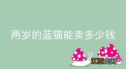 两岁的蓝猫能卖多少钱
