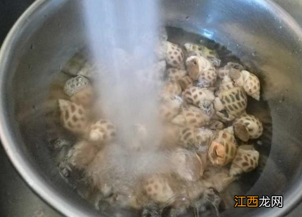 白灼花螺冷水还是热水煮