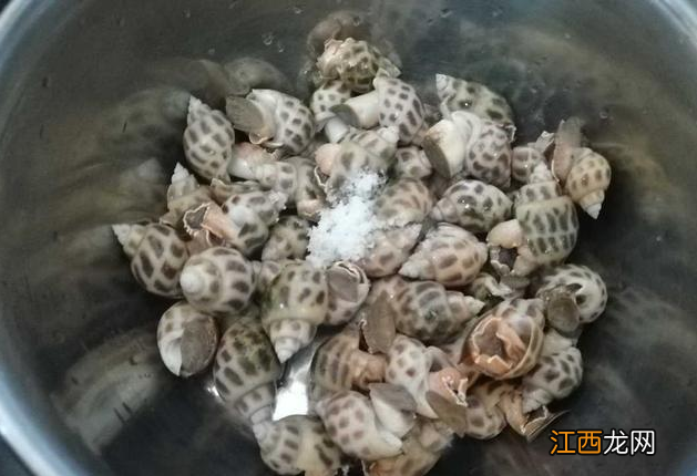 白灼花螺冷水还是热水煮