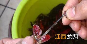 小龙虾虾球怎么清洗