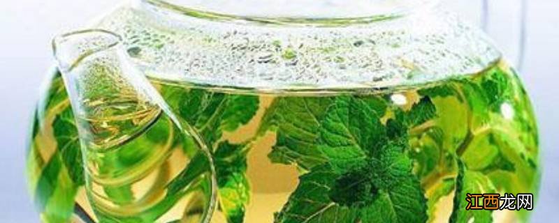 桑树叶怎样处理泡水喝