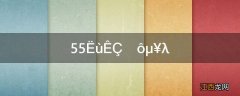 55所是什么单位