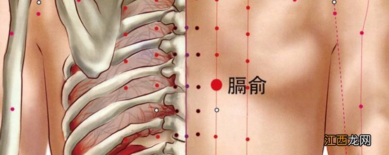 膈俞的准确位置