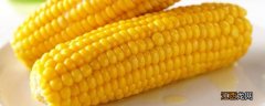 玉米是高纤维食物吗
