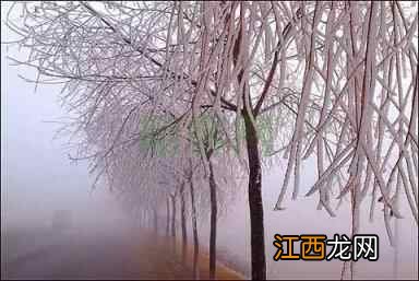 今日大雪｜这样养生，一年都会有好气色！