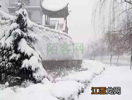 今日大雪｜这样养生，一年都会有好气色！