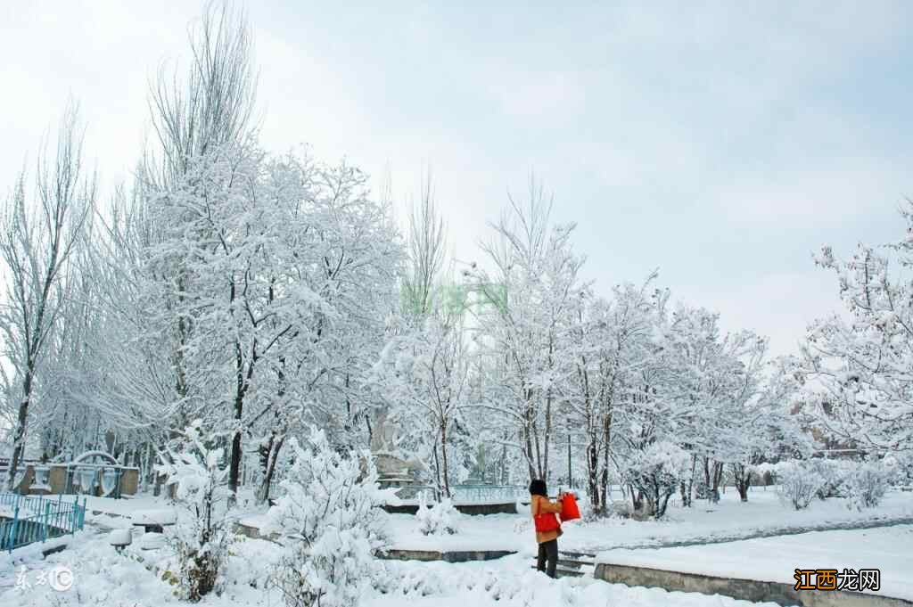 大雪养生，既要补得进来，又要藏得住！