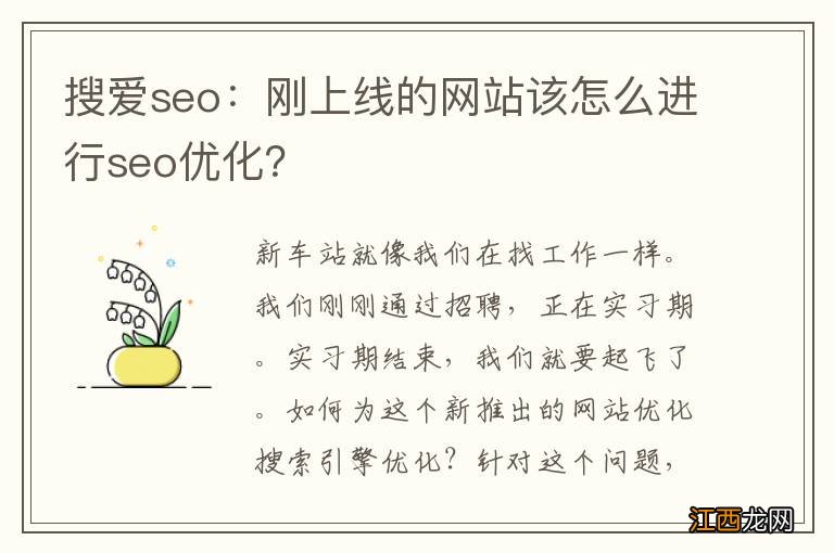 搜爱seo：刚上线的网站该怎么进行seo优化？