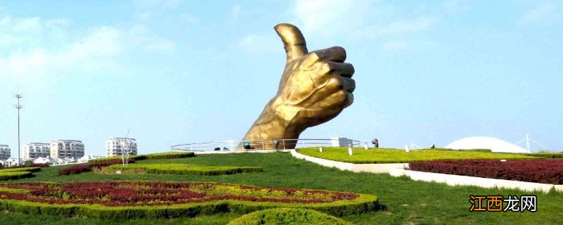 大拇指的作用是什么