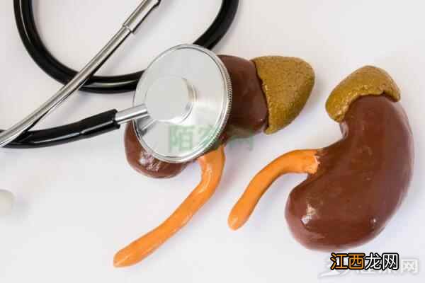 要养生先养肾!坚持做好这几件小事,轻轻松松养出一颗好肾来