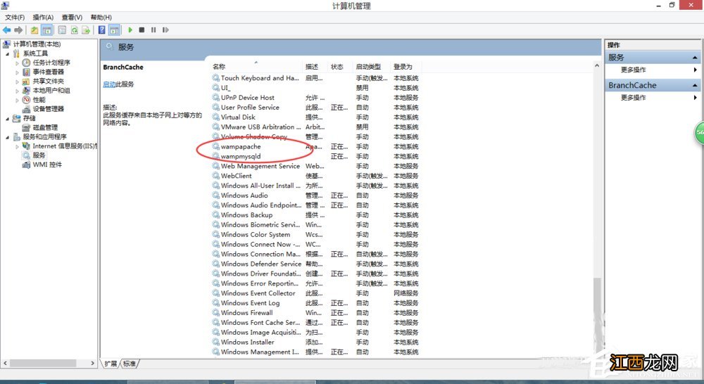 Win7系统wampserver在线但localhost打不开怎么办