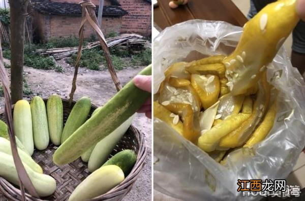 广东茂名特色土特产 广东茂名特产清单