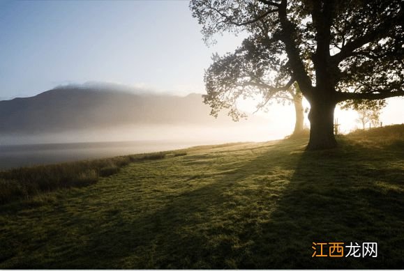 六一国际儿童节的由来