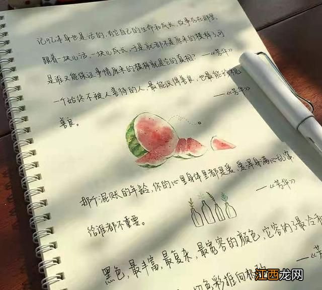 “奶酪字体”与“鲸落体”,两种字体那个更好看