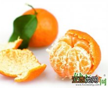 橘子皮的功效和橘子皮的几种常见吃法