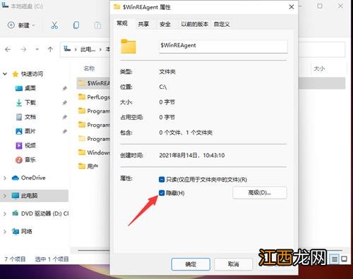 Win11如何查看所隐藏的文件？Win11查看隐藏的文件的方法