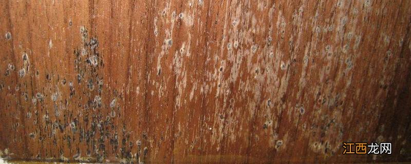 旧家具霉味如何去除