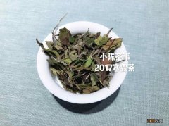 附白茶冲泡攻略  惊蛰养生，一篇文章教你读懂9大体质如何喝茶